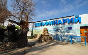 Правительство Севастополя сохранило дельфинарий в Артбухте