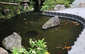 Foto Camina por Kamakura