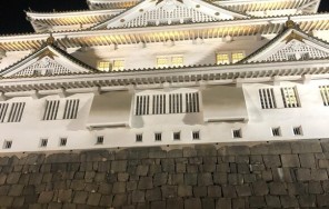 Photo Visite à Osaka