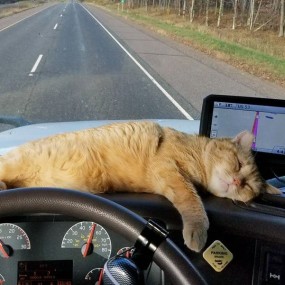 Фото Татьяна