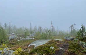 Фото Воттовара одним днем