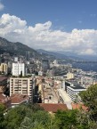 панорама с экзотического сада