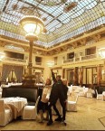 Metropol