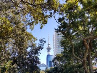 Вид на Sky Tower из Альберт парка