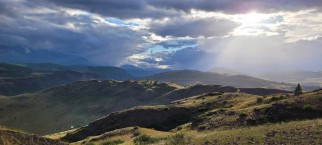 Курайская степь