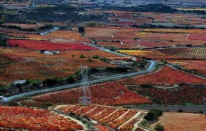 Photo Logroño – the wine capital of Rioja