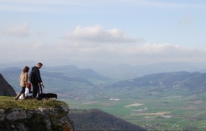 Photo Basque delicacies: Idiasabal cheese and Chacoli Basque wine