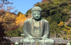 Photo Admiring maples in Kamakura. Sightseeing tour