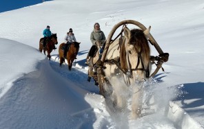 Photo Horse sleigh: Russian exotic 3