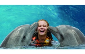 Фото Плавание с Дельфинами