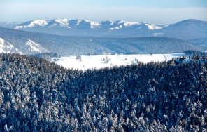 Photo Snowy Kraka - 5 days