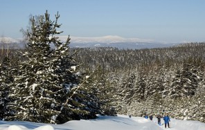 Photo Ural ski
