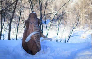 Photo Mountainous Bashkiria