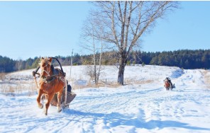 Photo Weekend in the mountains