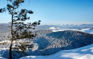 Photo Through three Ural reserves