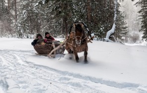 Фото Зимнее конное путешествие по Уралу