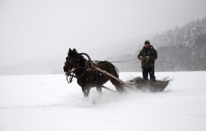 Photo Snowy Kraka 4