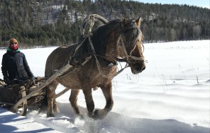 Photo Equestrian adventure